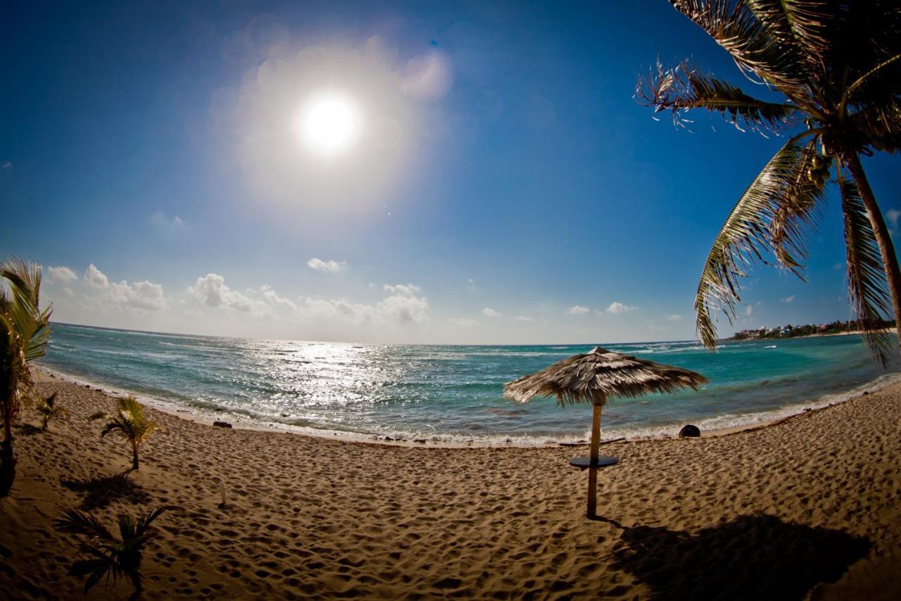 Villas Flamingo Akumal Bagian luar foto