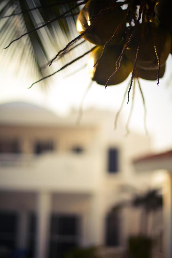 Villas Flamingo Akumal Bagian luar foto